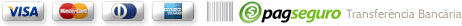 Formas de Pagamento Rodape